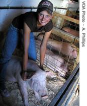 Ann Hutton and her prize pig Lauren