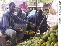 Abdoulie Gueye (left) sells mangoes wholesale