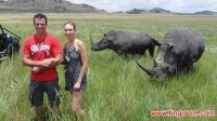英语新闻：南非一女性被犀牛攻击